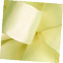 Cream Wired Premium Grosgrain Ribbon