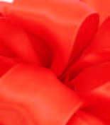 Geranium Wired Premium Satin Ribbon
