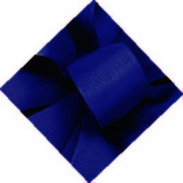 Navy Wired Premium Grosgrain Ribbon