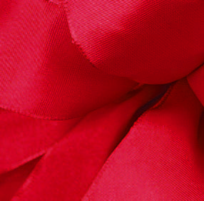 Red Wired Premium Grosgrain Ribbon
