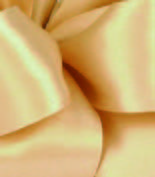 Champagne Wired Premium Satin Ribbon