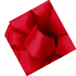 Scarlet Wired Premium Grosgrain Ribbon