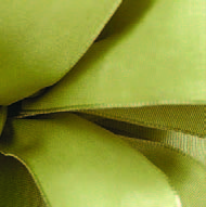 Willow Wired Premium Grosgrain Ribbon
